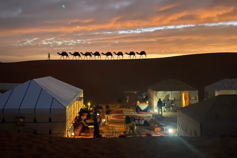 Luxury Bivouac Merzouga – Private Bathroom + Camel Ride + Dinner & Show + Breakfast + Return (Camel & 4x4)