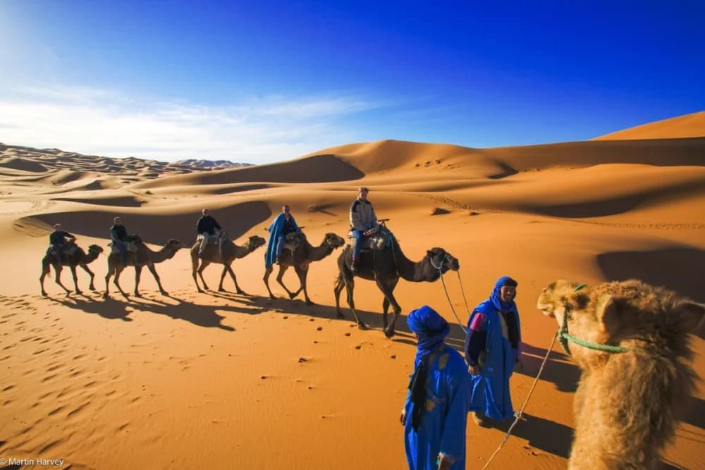 Merzouga Cultural Tour 2h30, Nomad Rahala + Qatari Museum + Gnaoua & Fossils