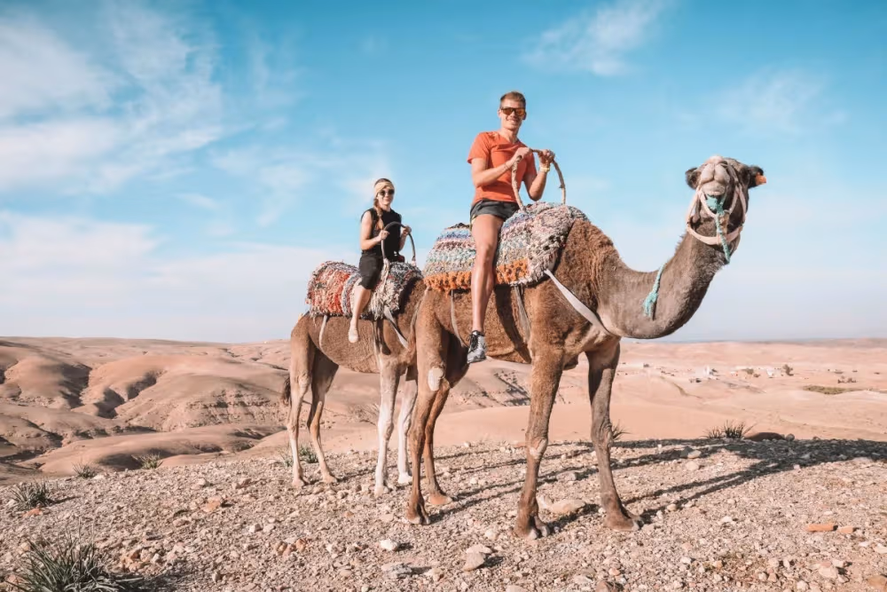 Agafay Camel Ride + Tea & Photo Stop (45 Min Drive)