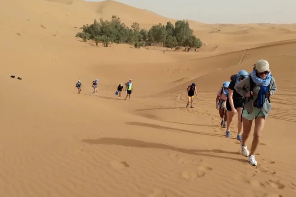 Merzouga Wild Bivouac 10H, Camel Trek & Guide + Campfire + Meals + 4x4 Support