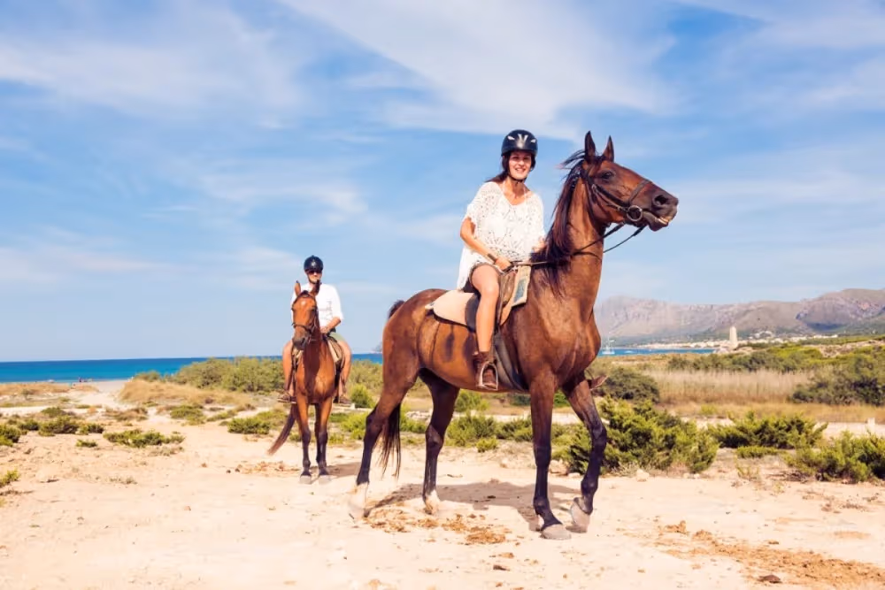 Oued Souss Takkat Horse Ride 2 Hours