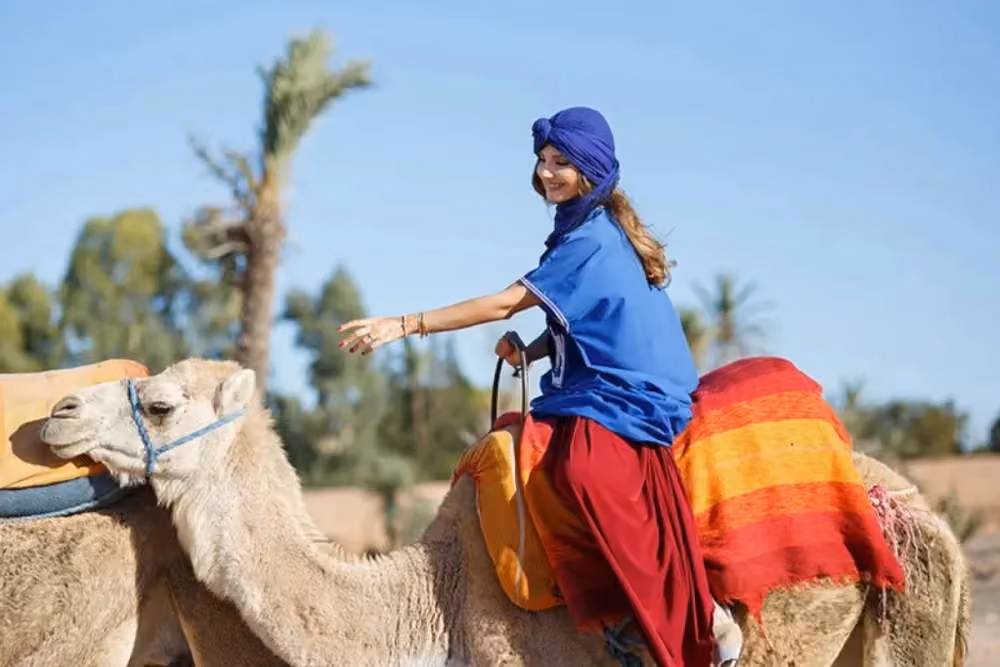 Taghazout Camel Ride 1 Hour with Hotel Pickup + Photos