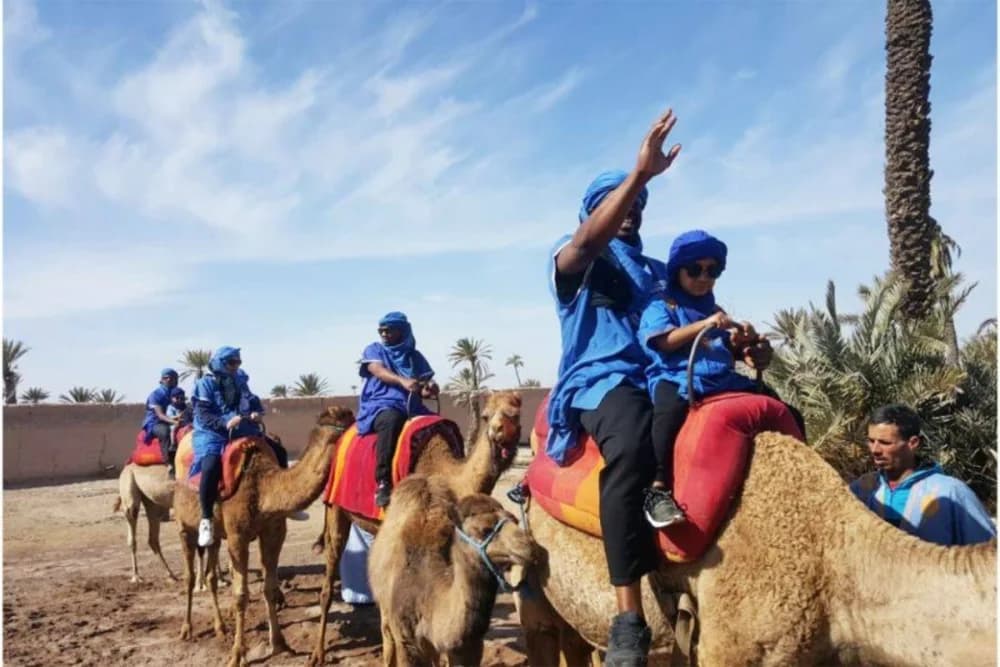 Marrakech Palmeraie Camel Ride 1 Hour + Tea & Photos
