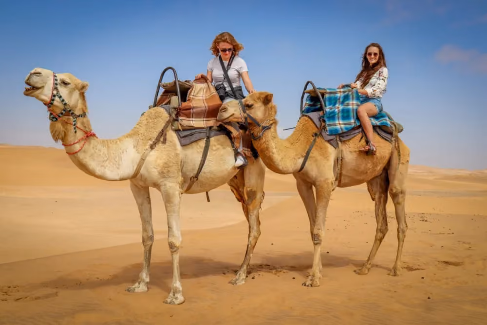 Agadir Camel Ride 2 Hours at Oued Souss Takkat